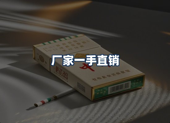 专业团队办公环境